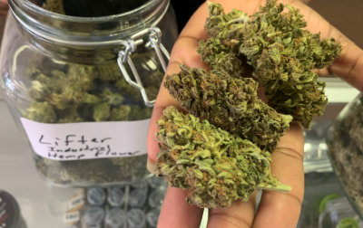 How to Tell Cbd Flower From Weed