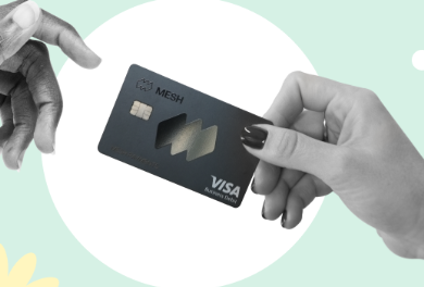 Mesh Payments