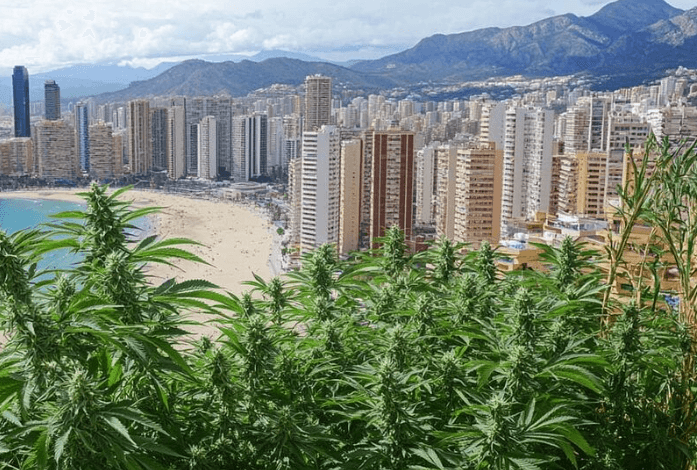Cbd Æːɯǟǣ€Éº¼