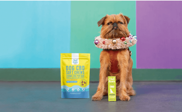 Cbd Dog Treats for Anxiety Reviews