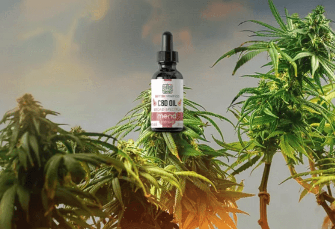 Does Cbd Make You Feel Spacey