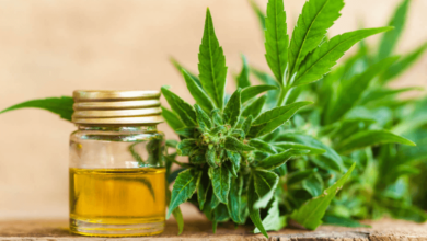 Does Cbd Ointment Get in Your Bloodstream