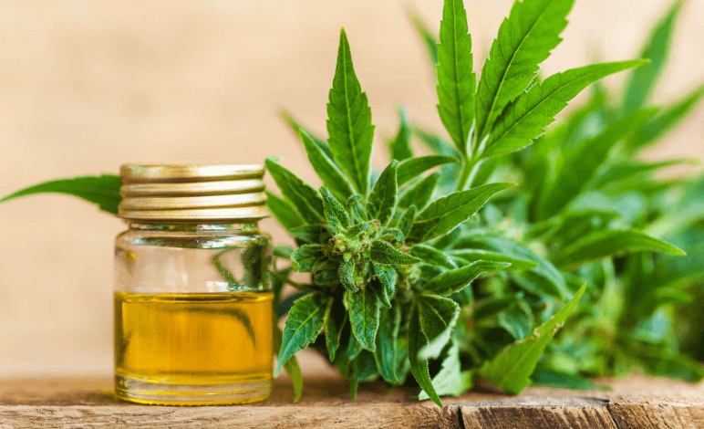 Does Cbd Ointment Get in Your Bloodstream