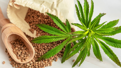 Does Cbd Raise Heart Rate