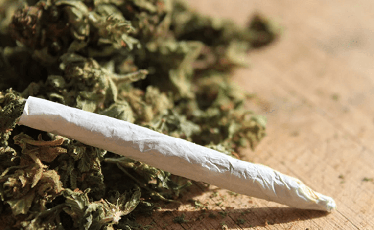 Does Cbd Smell Like Weed
