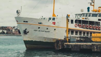 cbd gummies cruise ship policy