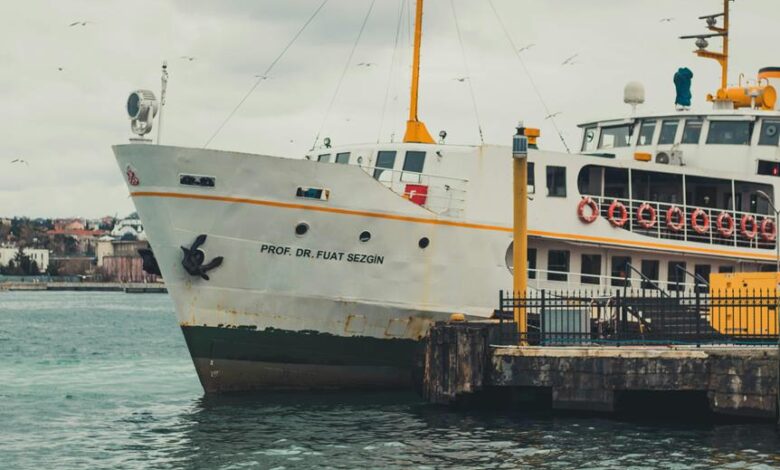 cbd gummies cruise ship policy