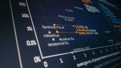 system analysis data report